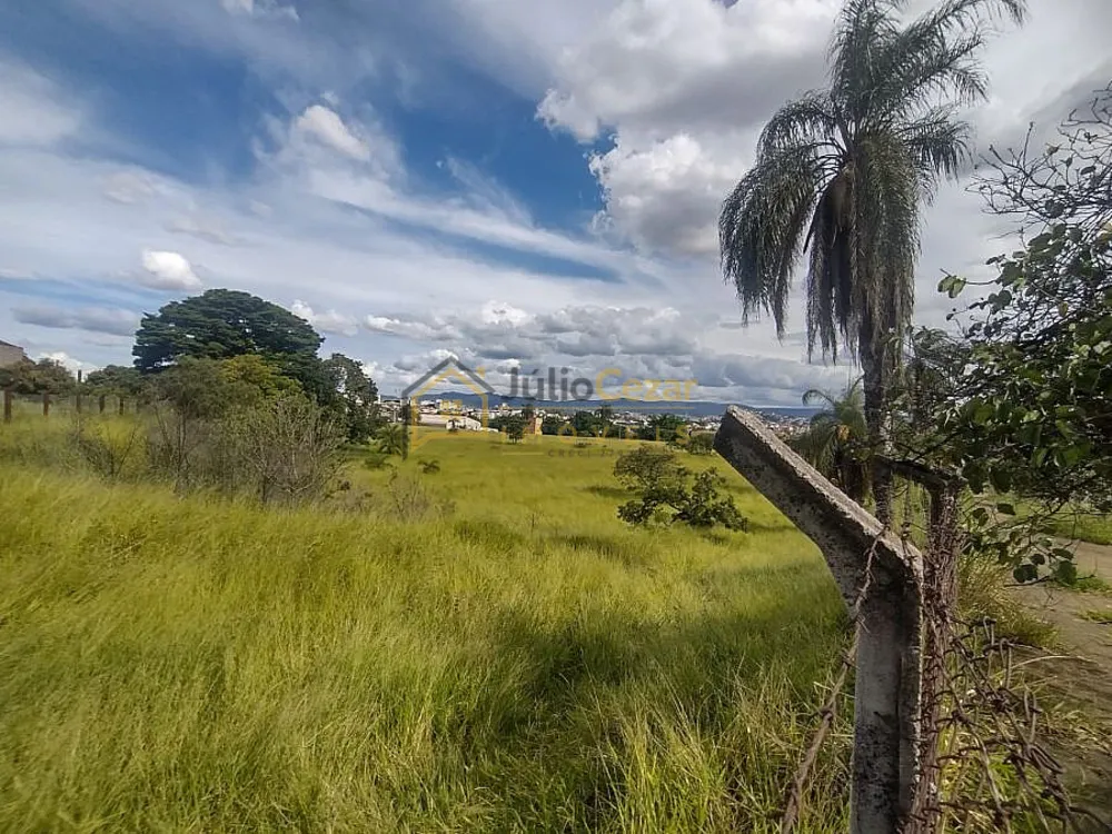 Terreno, 2 hectares - Foto 2