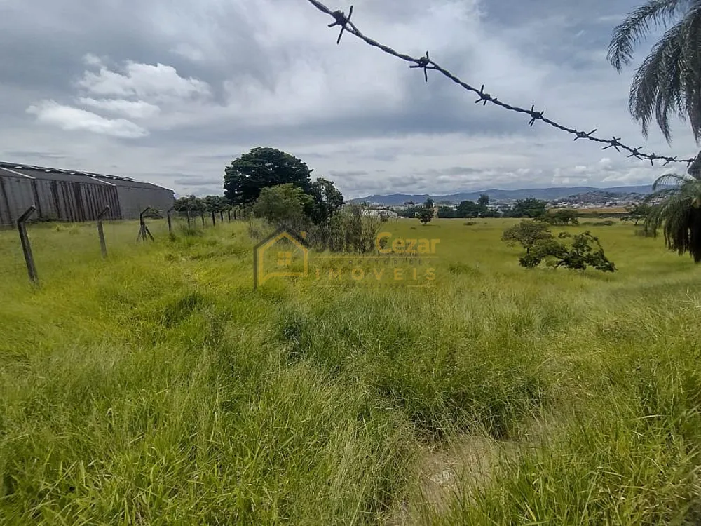 Terreno, 2 hectares - Foto 3