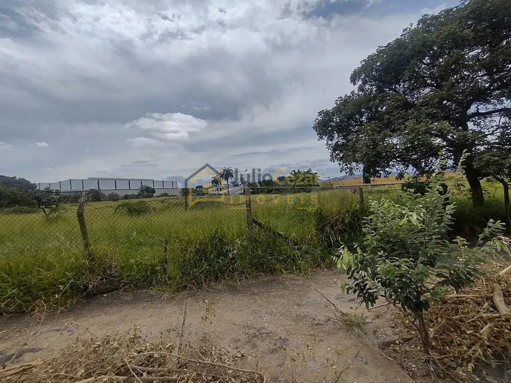 Terreno, 2 hectares - Foto 4
