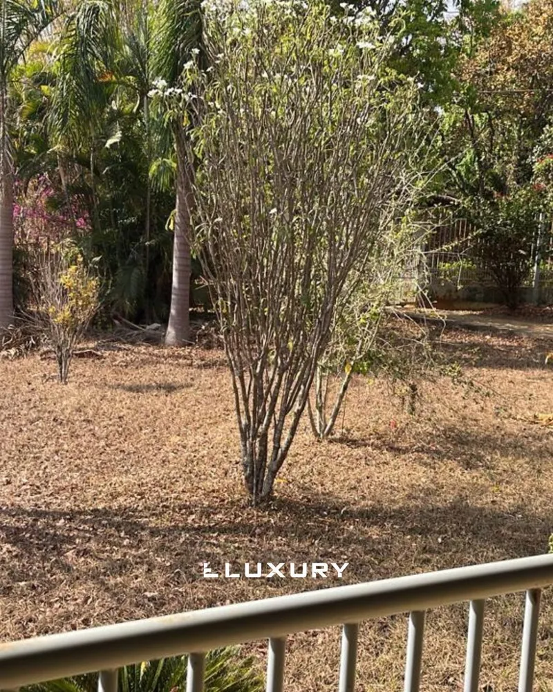 Terreno, 500 m² - Foto 2