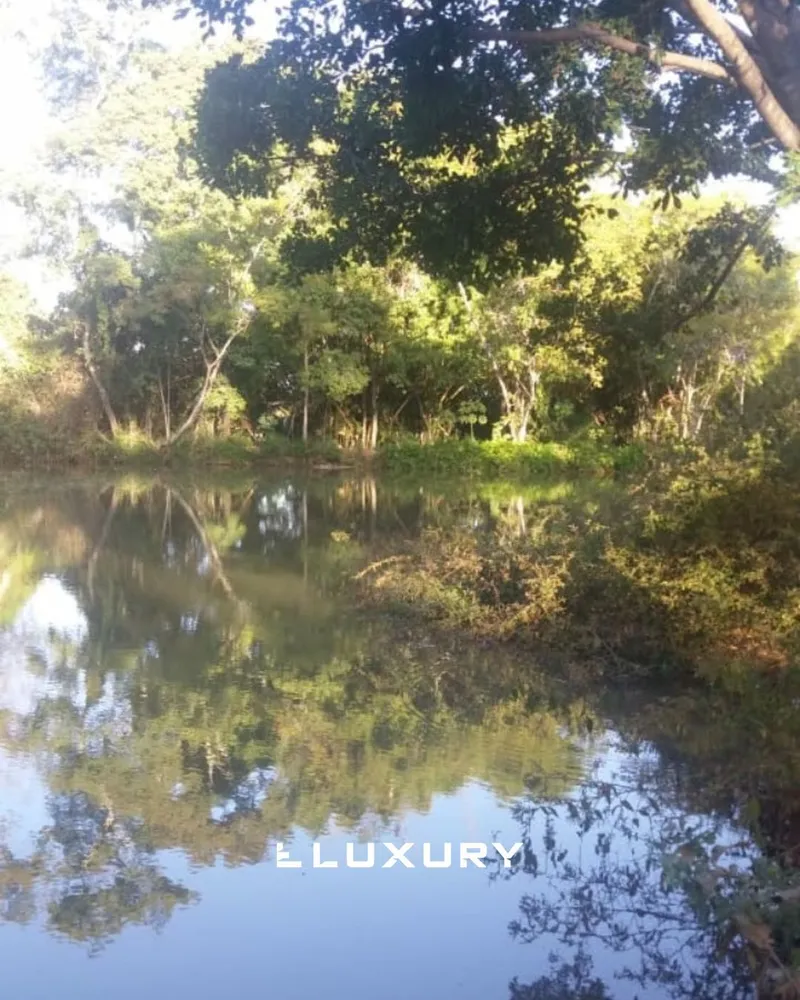 Chácara, 2 quartos, 5000 m² - Foto 7