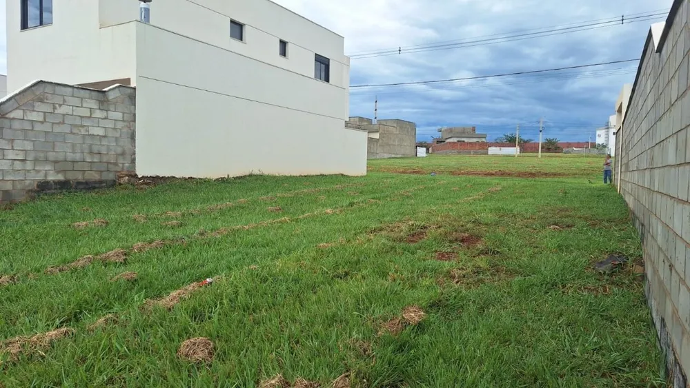 Terreno, 259 m² - Foto 4