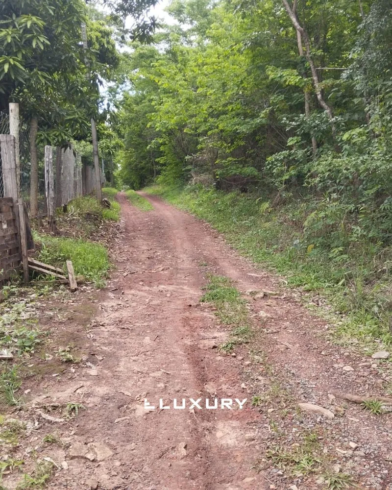 Chácara, 8 quartos, 10000 m² - Foto 3