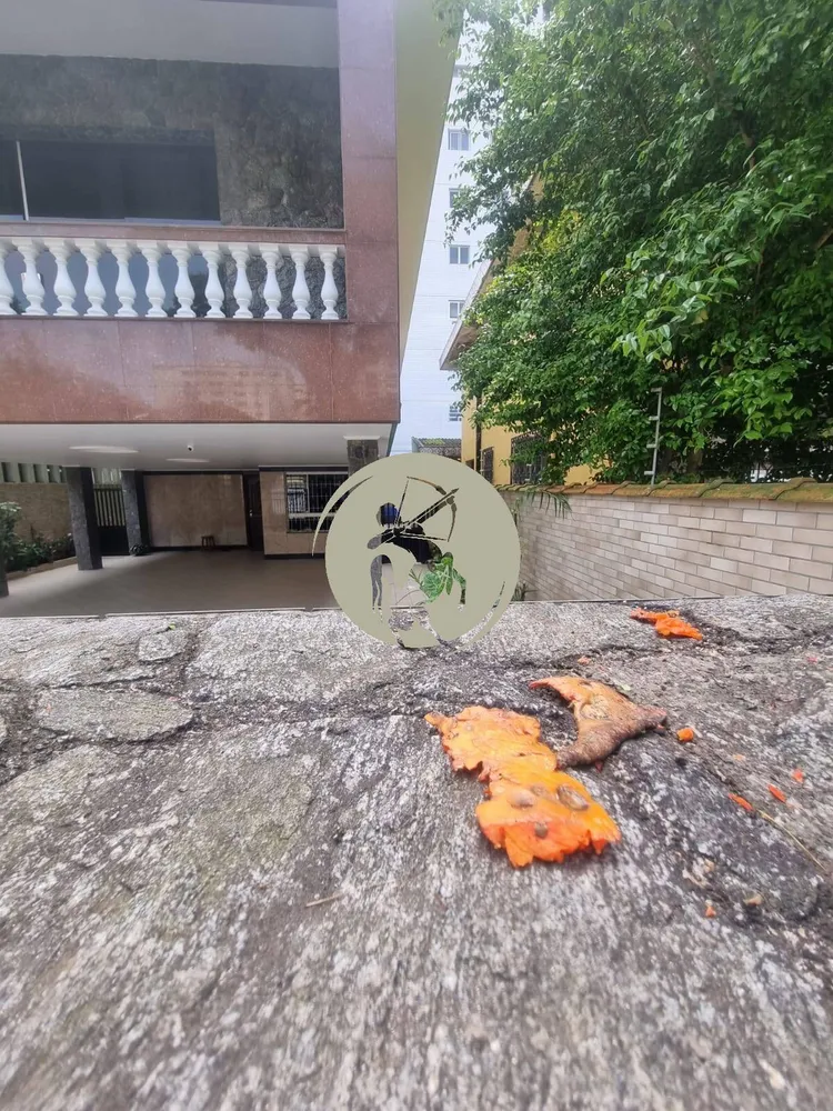 Casa, 4 quartos, 250 m² - Foto 7