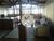 Casa, 3 quartos, 264 m² - Foto 6