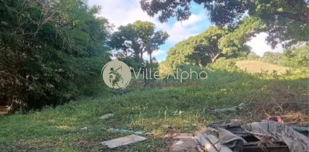 Terreno, 8 hectares - Foto 7