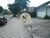 Terreno, 800 m² - Foto 1
