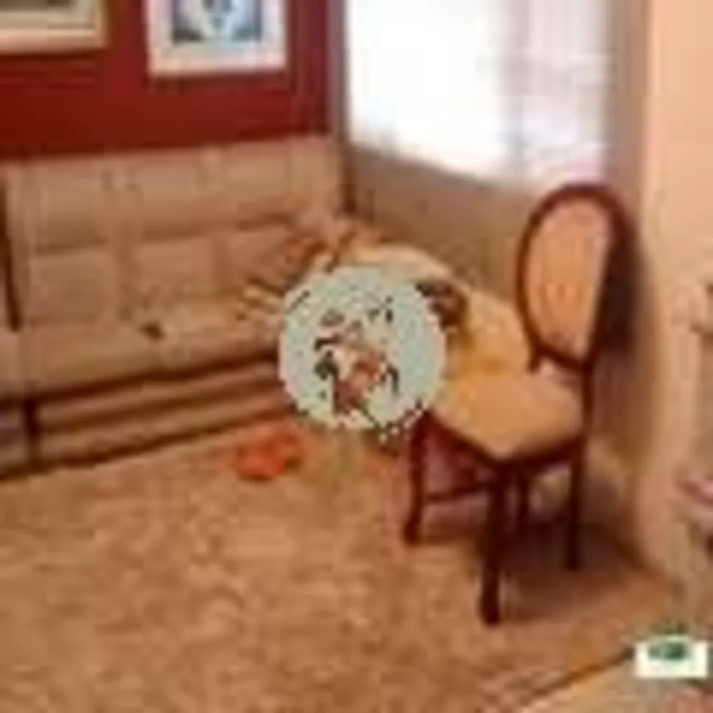 Casa, 3 quartos, 170 m² - Foto 6