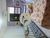 Apartamento, 2 quartos, 85 m² - Foto 10