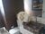 Apartamento, 3 quartos, 180 m² - Foto 5