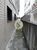 Sala-Conjunto, 380 m² - Foto 9