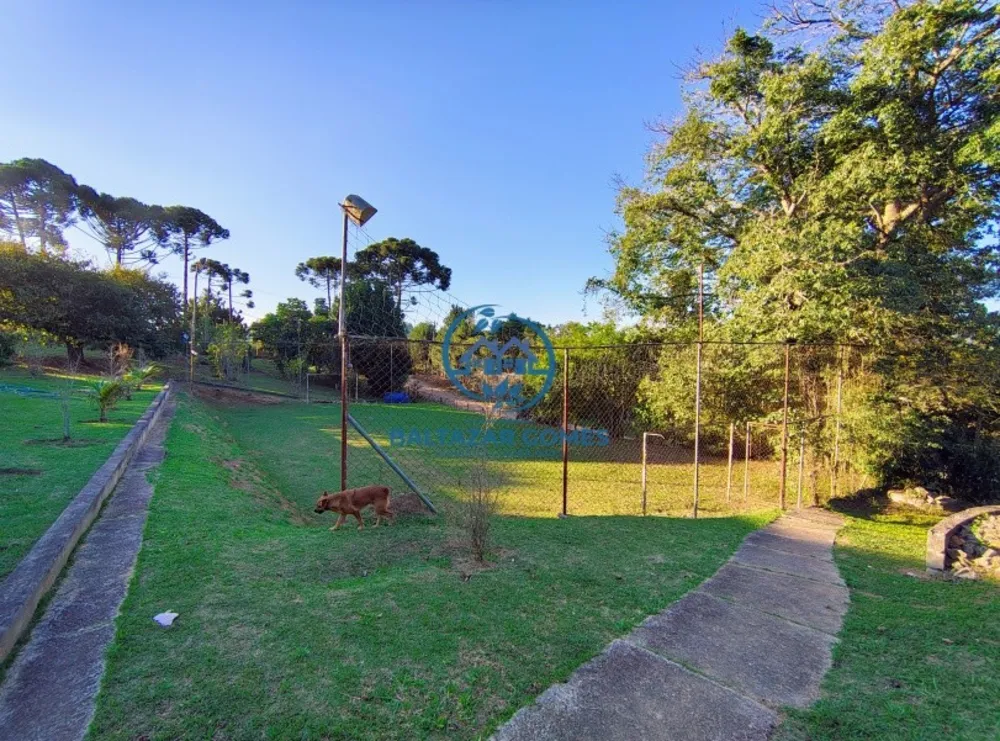 Chácara, 3 quartos, 4200 m² - Foto 18