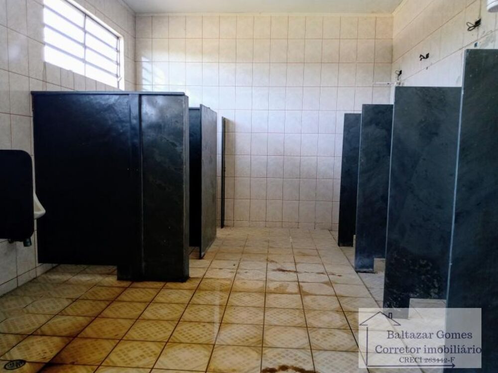 Sítio, 3 quartos, 5 m² - Foto 7