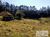 Sítio, 2 quartos, 7 hectares - Foto 3