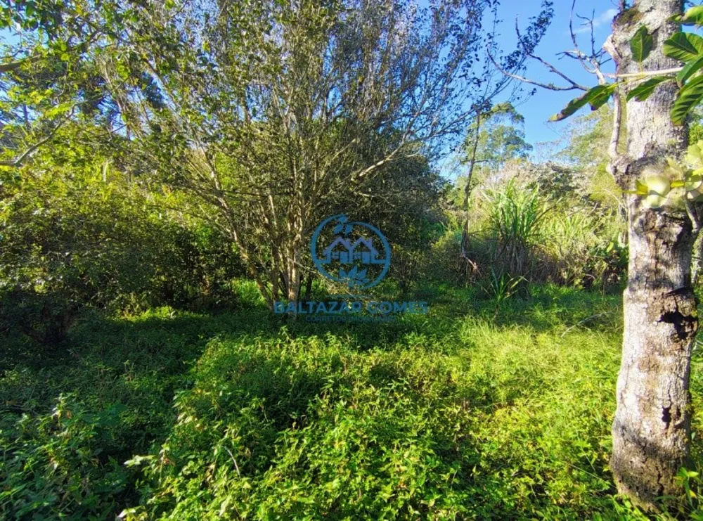 Chácara, 2 quartos, 2400 m² - Foto 19