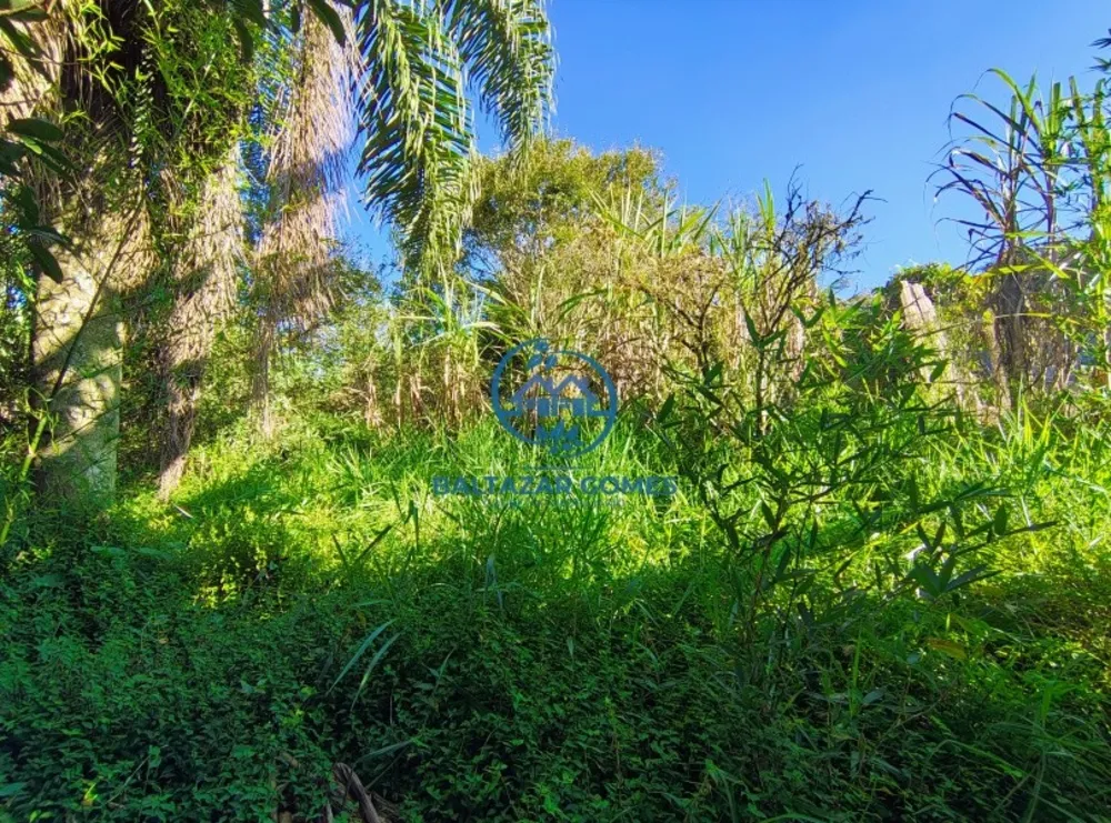 Chácara, 2 quartos, 2400 m² - Foto 18