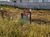 Terreno, 1100 m² - Foto 2