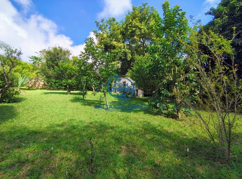 Chácara, 3 quartos, 1000 m² - Foto 12