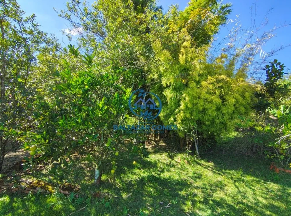 Chácara, 1 quarto, 1000 m² - Foto 10