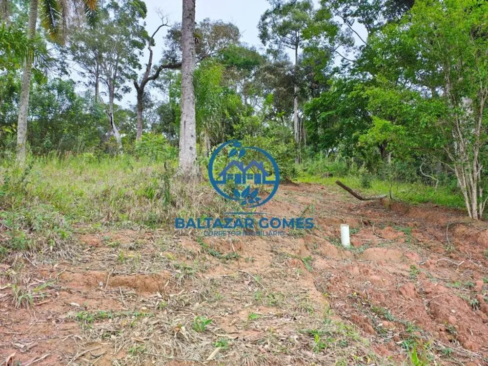 Sítio, 4 quartos, 4000 m² - Foto 18