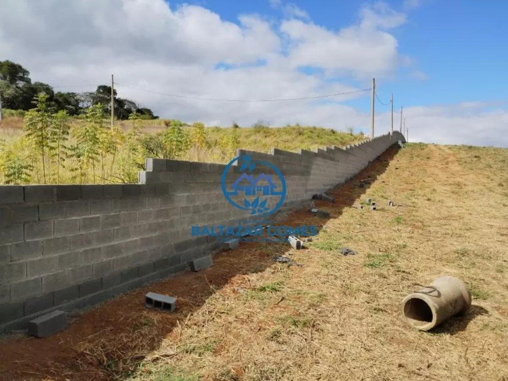 Fazenda à venda com 2 quartos, 20000m² - Foto 4