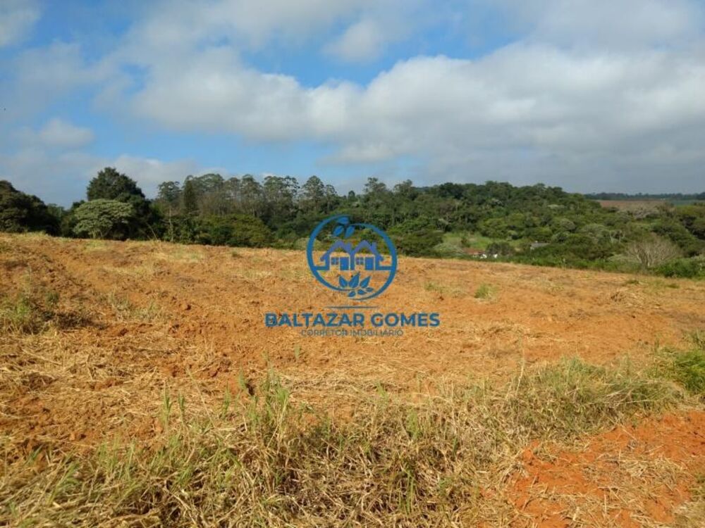 Chácara à venda com 2 quartos, 20000m² - Foto 6