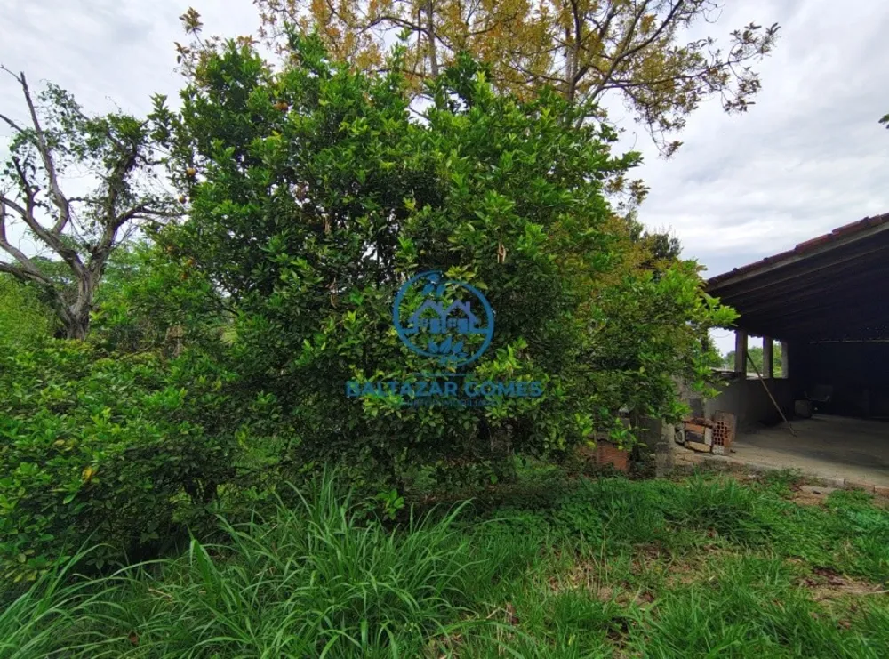 Chácara, 2 quartos, 4000 m² - Foto 8