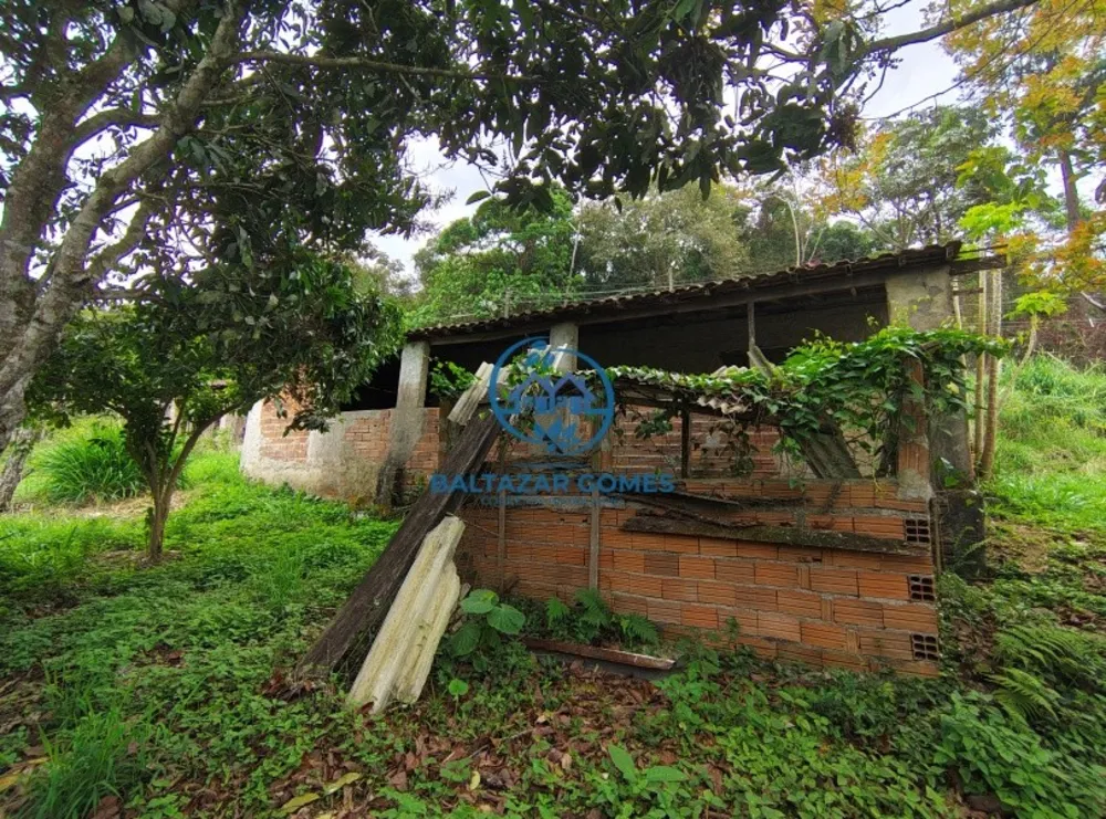 Chácara, 2 quartos, 4000 m² - Foto 10