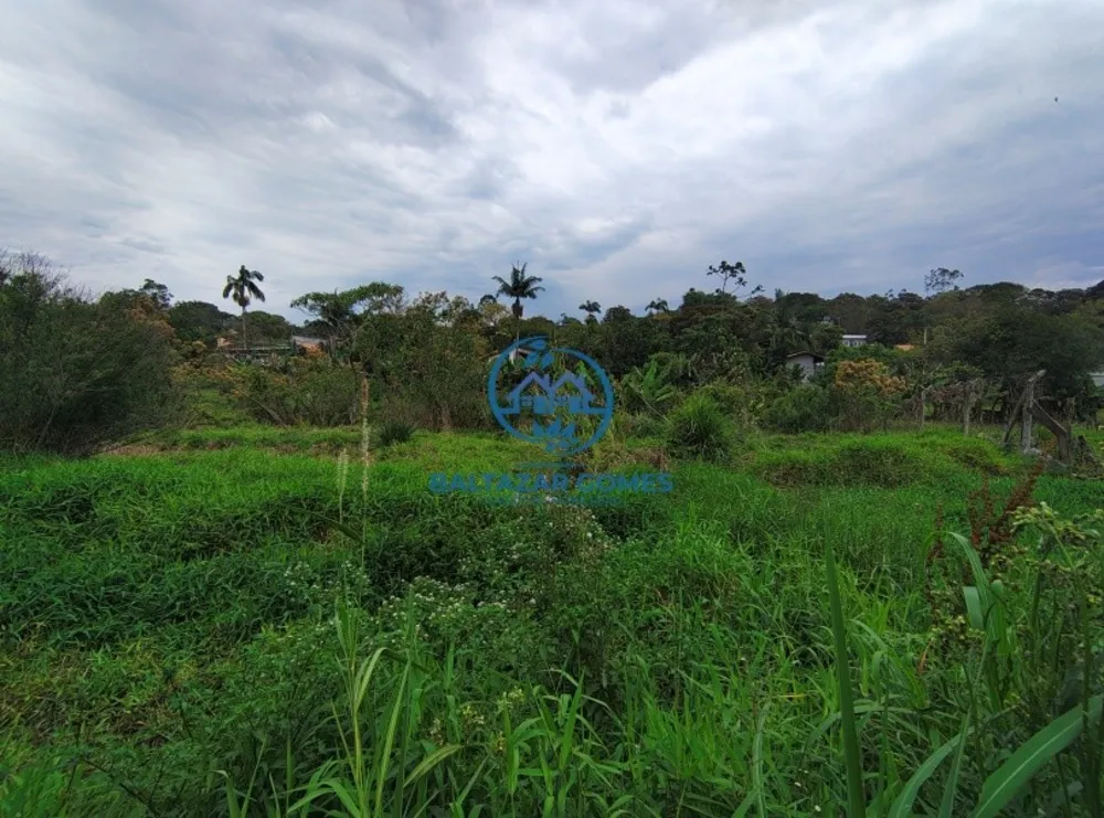 Chácara, 2 quartos, 4000 m² - Foto 12
