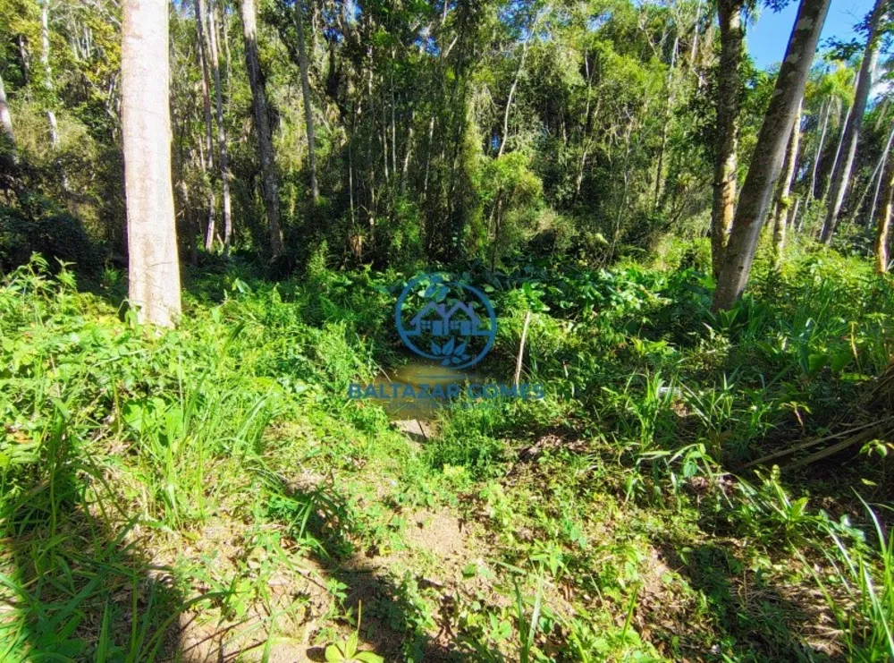 Chácara, 1 quarto, 1000 m² - Foto 5