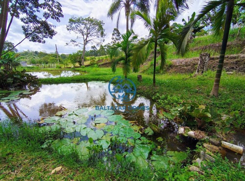 Chácara à venda com 4 quartos, 10000m² - Foto 4
