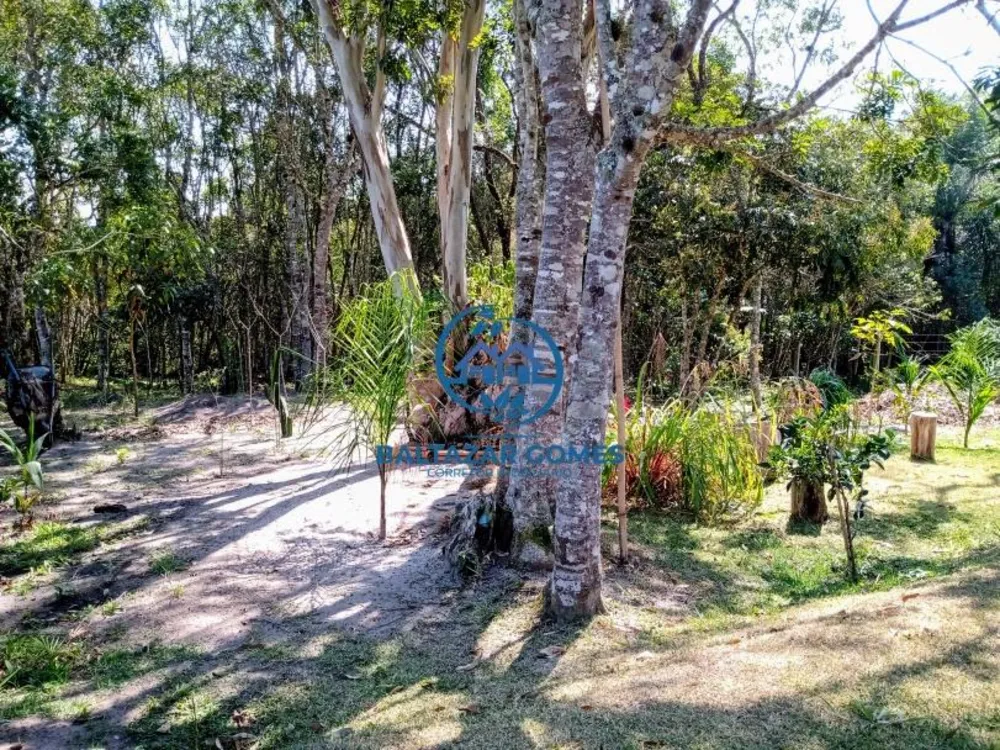 Chácara, 3 quartos, 1000 m² - Foto 16