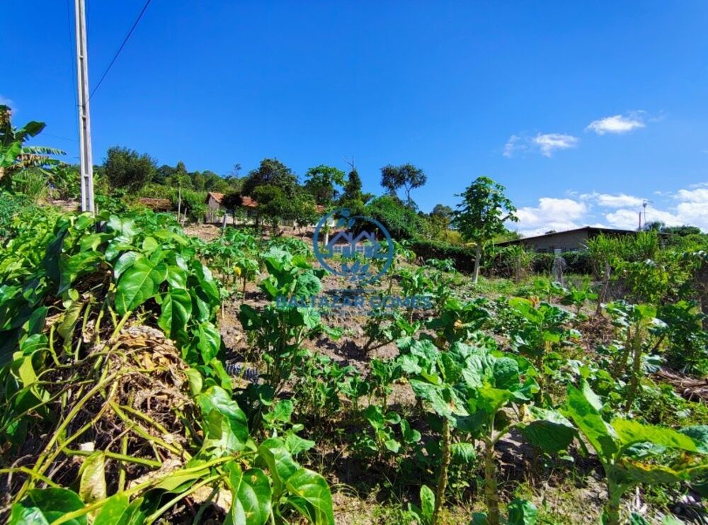 Sítio, 2 quartos, 9000 m² - Foto 14