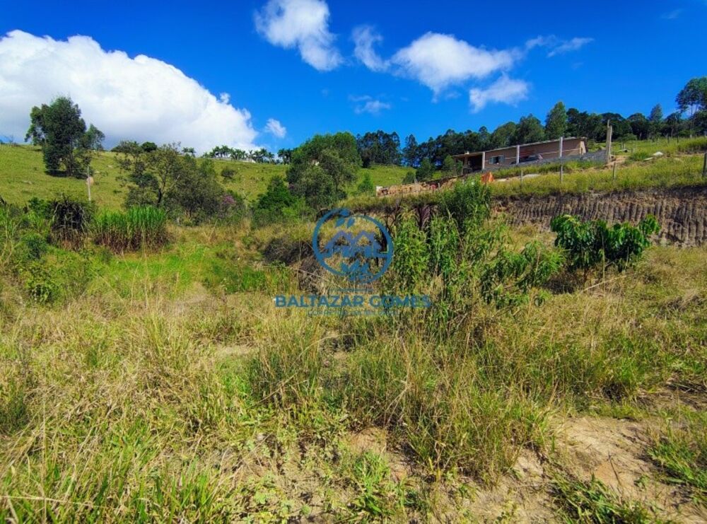 Sítio, 2 quartos, 9000 m² - Foto 4