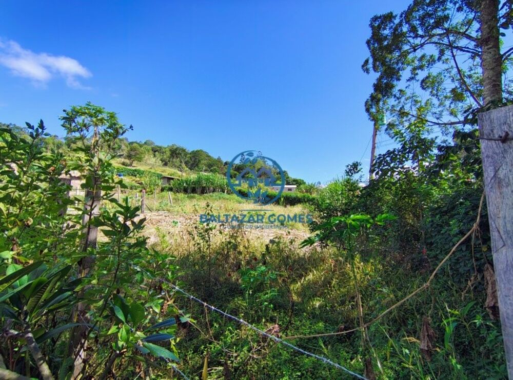 Sítio, 2 quartos, 9000 m² - Foto 16