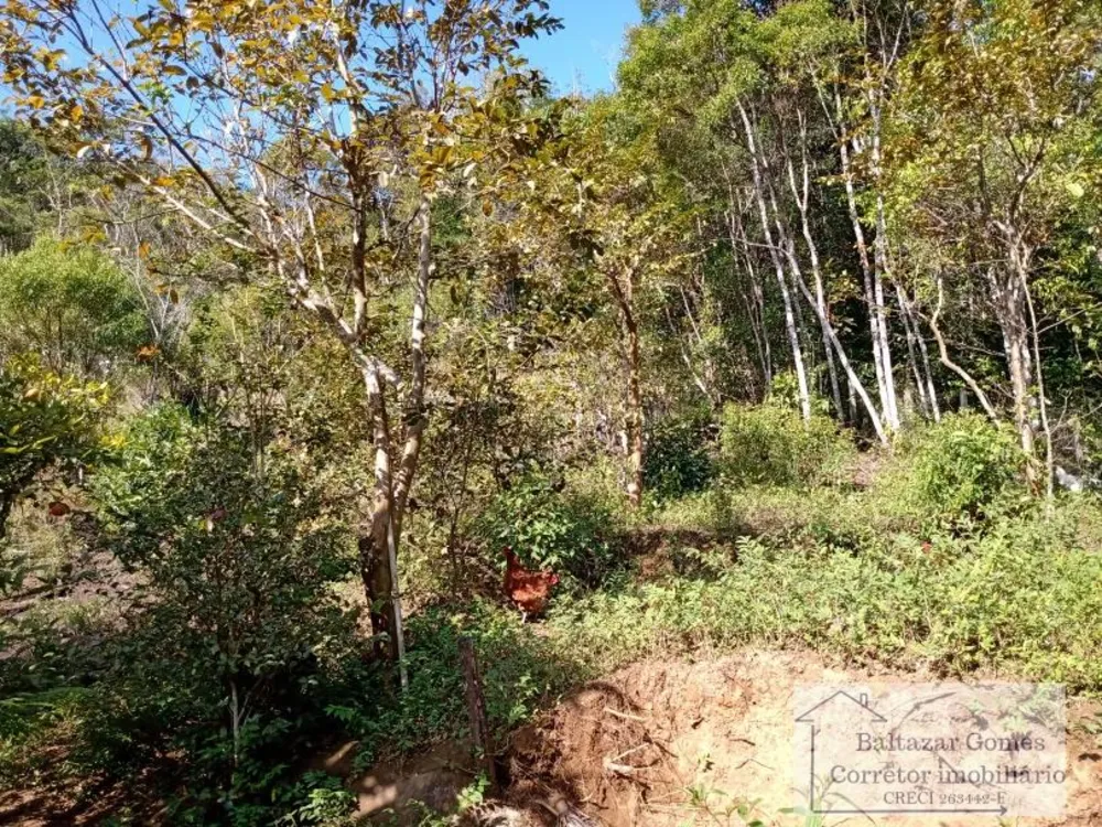 Sítio, 6 quartos, 3 hectares - Foto 14