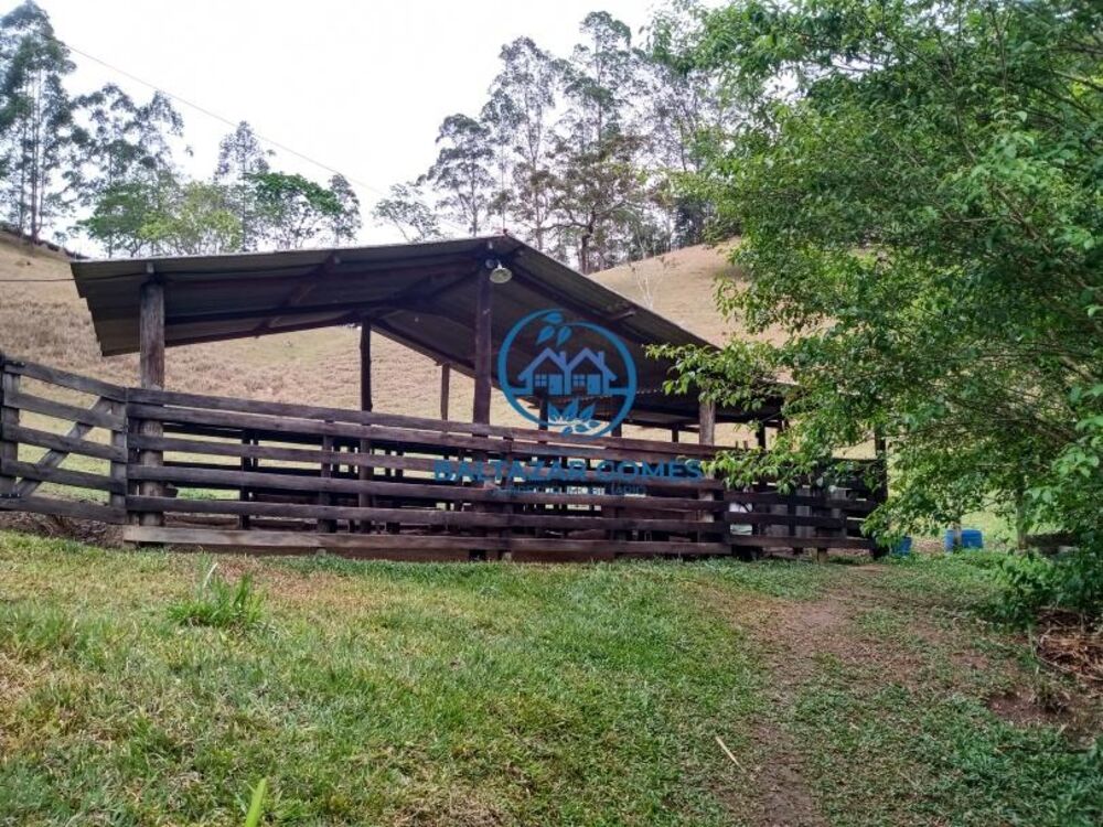Sítio, 4 quartos, 7 m² - Foto 4
