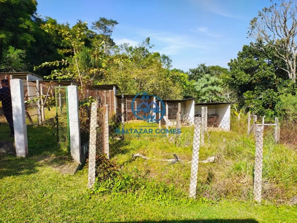 Chácara, 3 quartos, 3 hectares - Foto 12