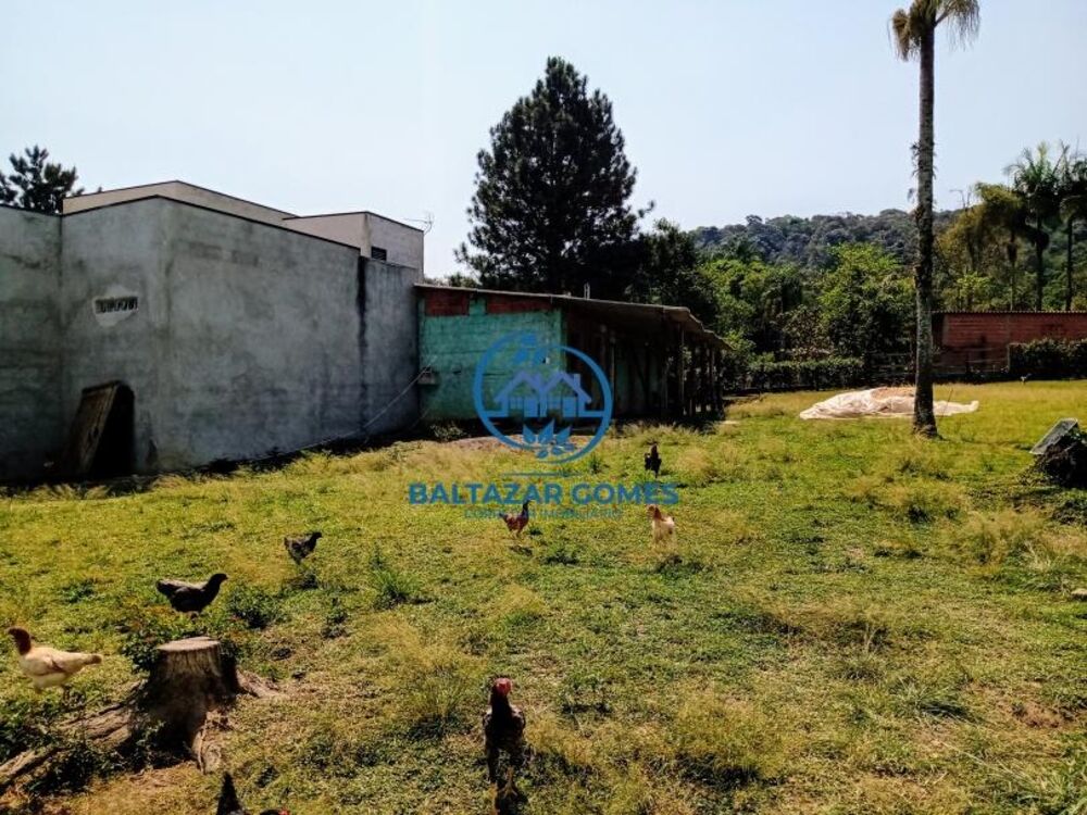 Sítio à venda com 5 quartos, 10000m² - Foto 26