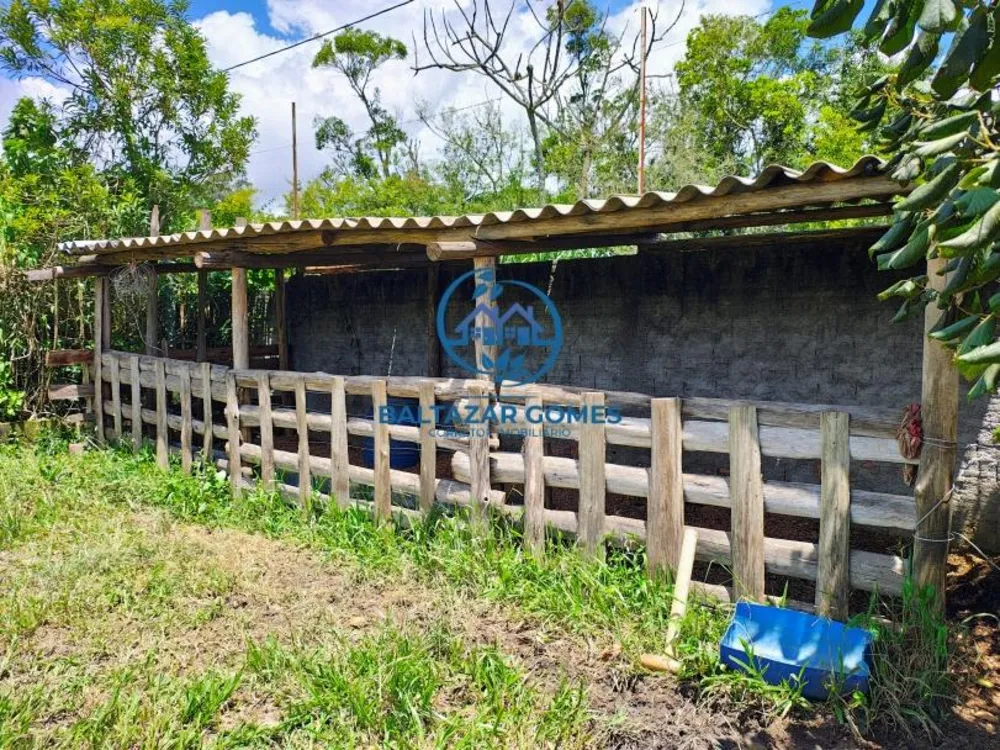 Sítio, 4 quartos, 4 hectares - Foto 15