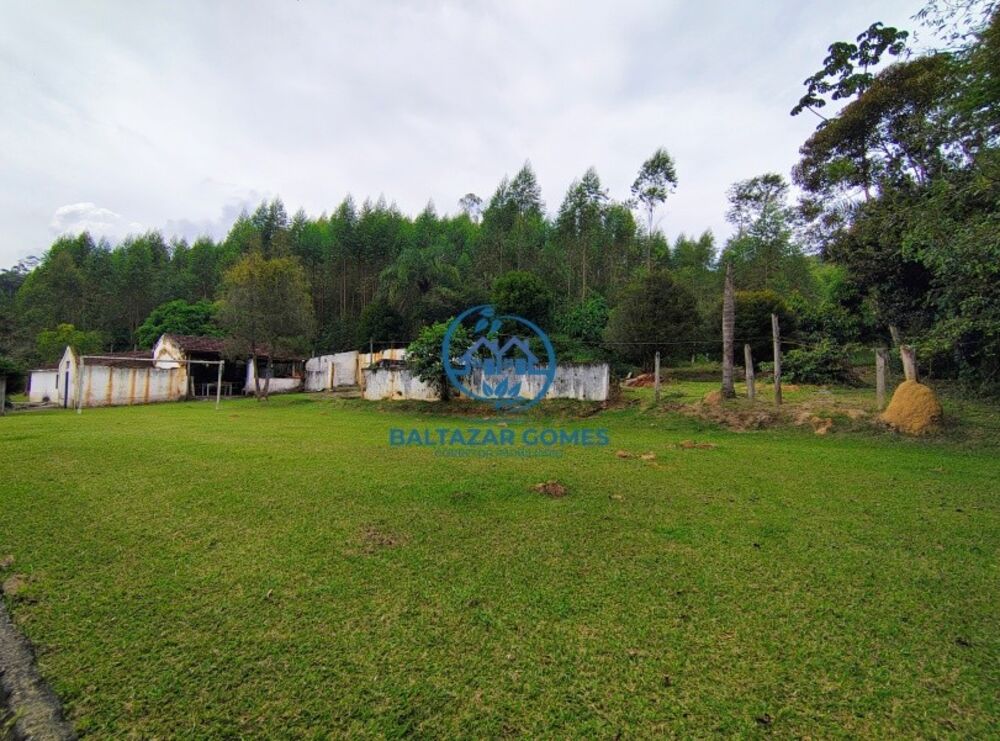 Fazenda à venda com 4 quartos, 22m² - Foto 6