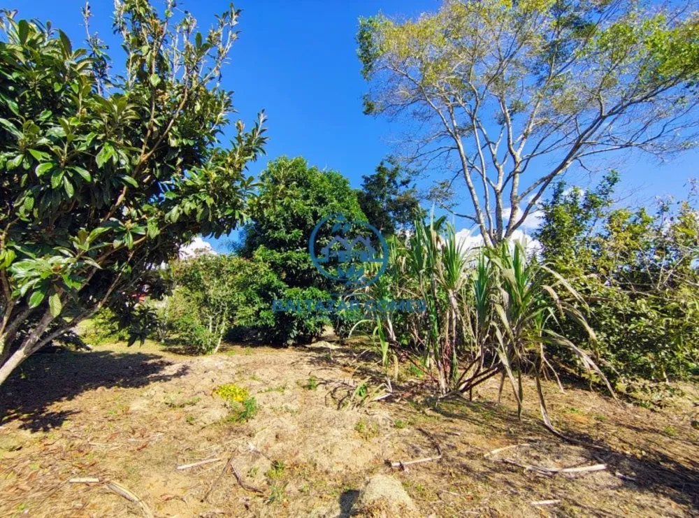 Chácara, 7 quartos, 5000 m² - Foto 16