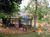 Chácara, 2 quartos, 2 hectares - Foto 4