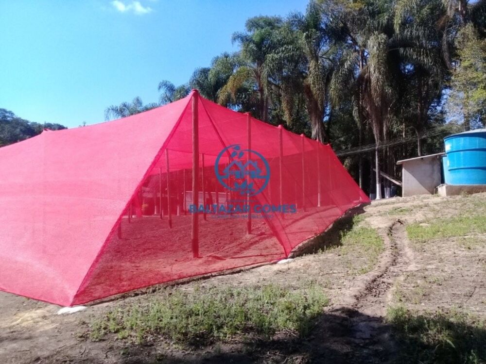 Sítio, 2 quartos, 2 hectares - Foto 2