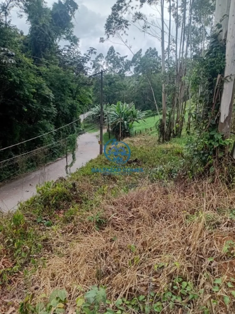 Terreno, 2 hectares - Foto 3