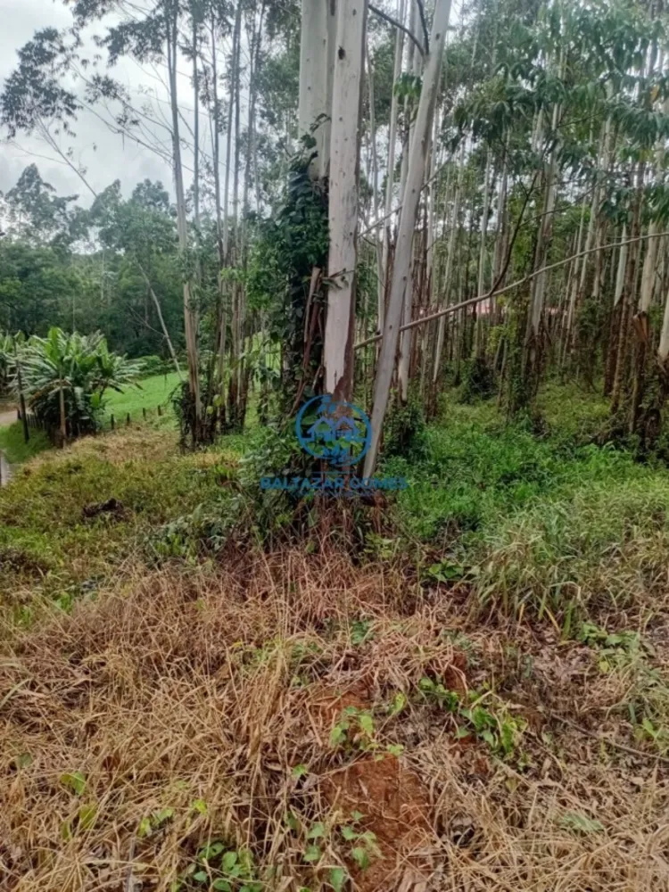 Terreno, 2 hectares - Foto 1