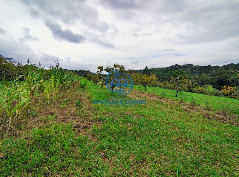 Chácara à venda com 3 quartos, 21000m² - Foto 4