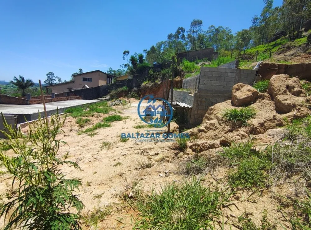 Chácara, 2 quartos, 1000 m² - Foto 11