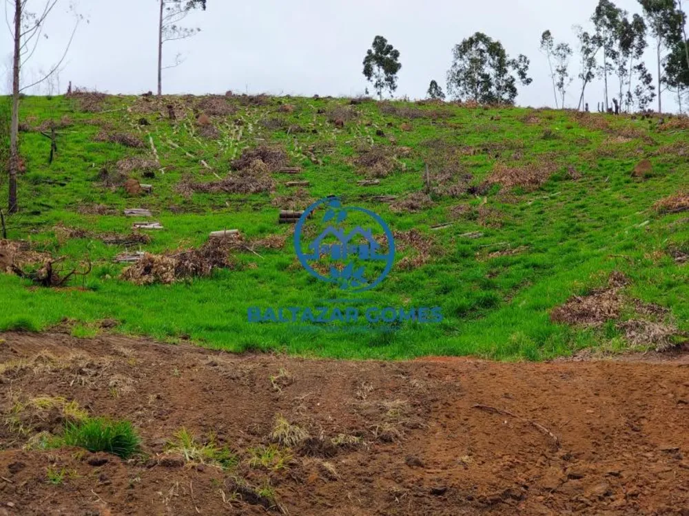 Terreno, 5000 m² - Foto 3