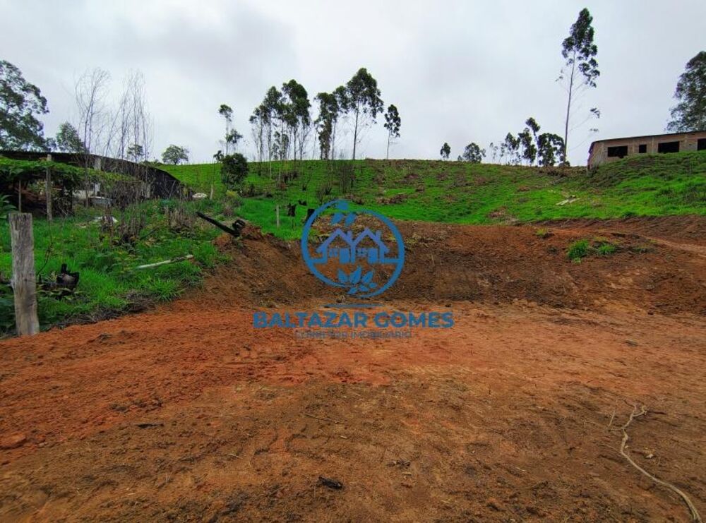 Terreno, 5000 m² - Foto 2